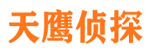 马龙市侦探公司